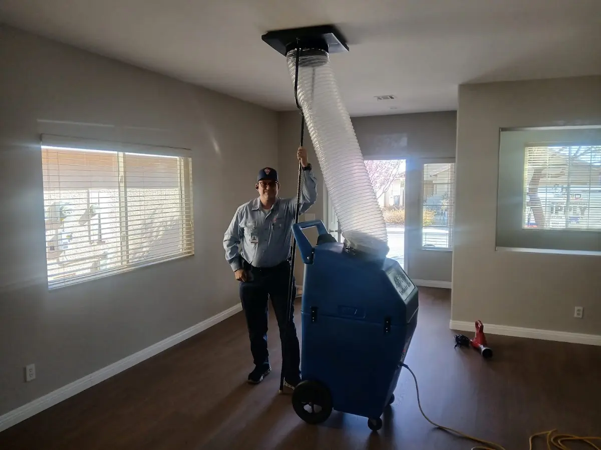Professional Dryer Vent Cleaning work inside a Pantops home